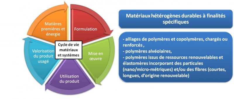 Cycle de vie