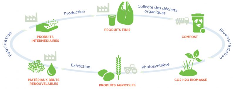 bioplastiques