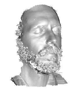 Salix alba 3D scan
