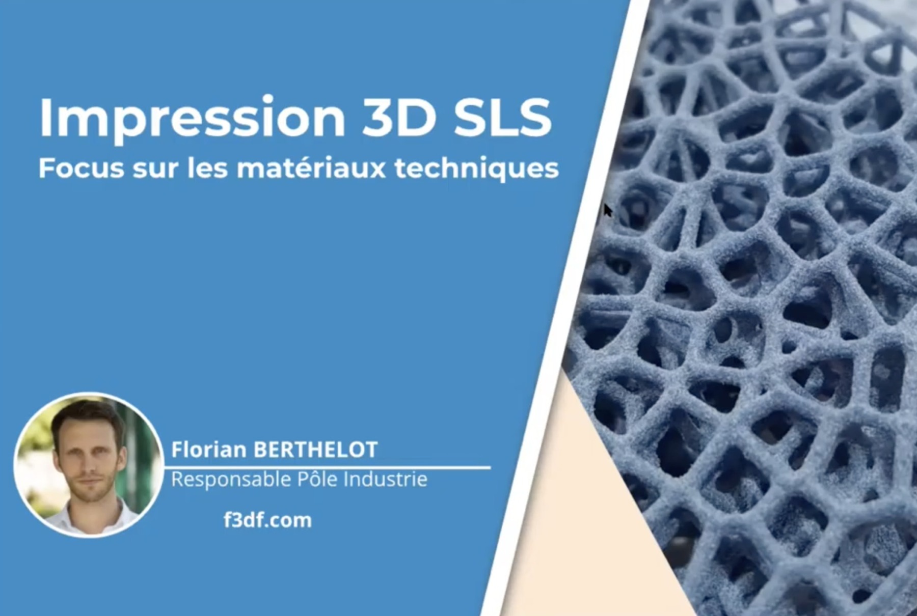 Replay livre Impression 3D SLS