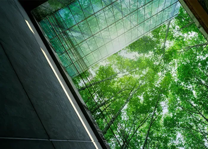 formations revit bim